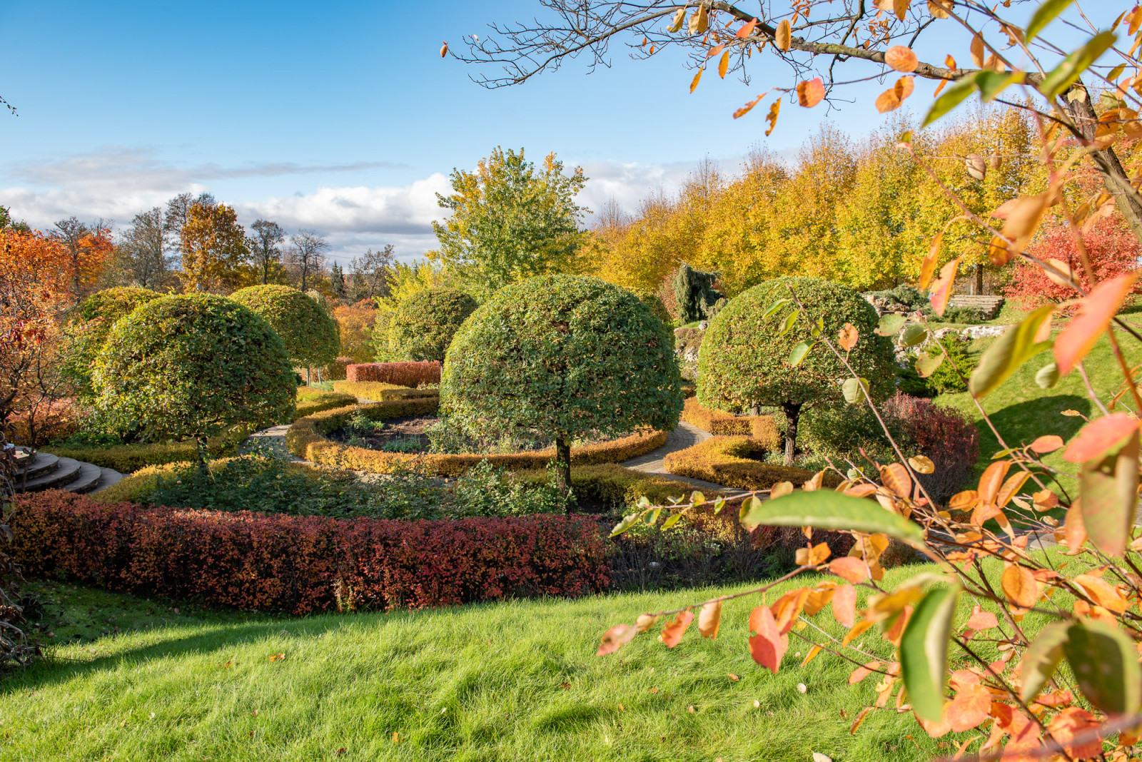 Обложка проекта: Ореховно. Музей-Усадьба.
