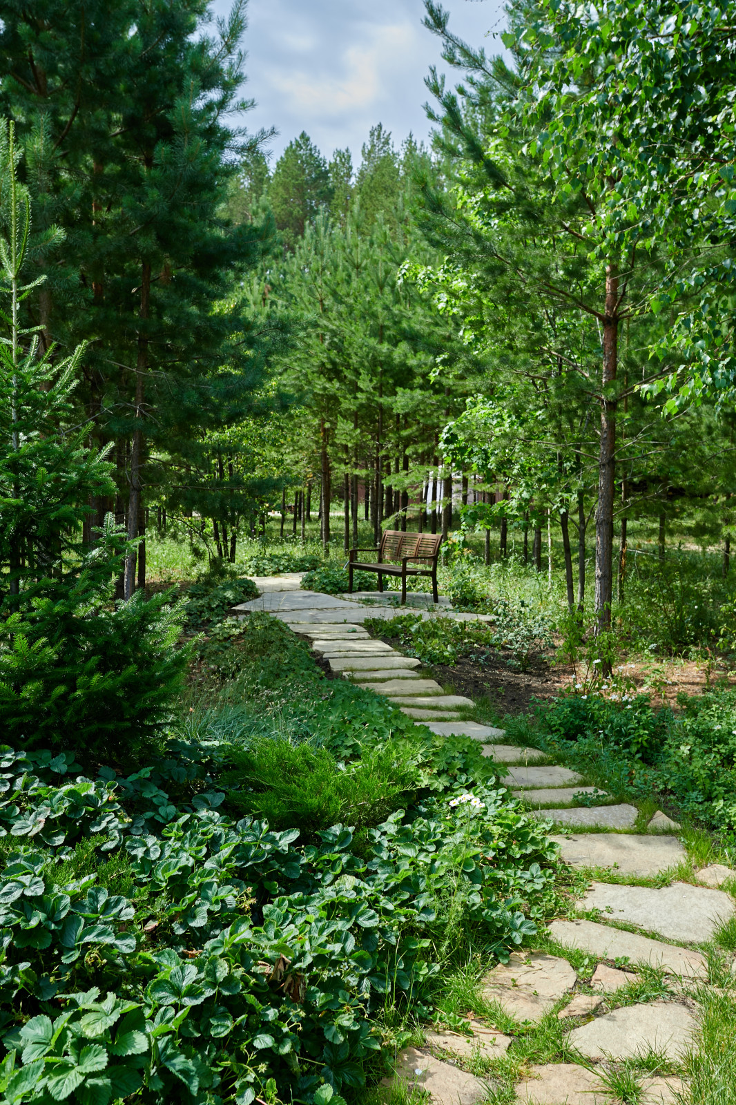 Лесной сад