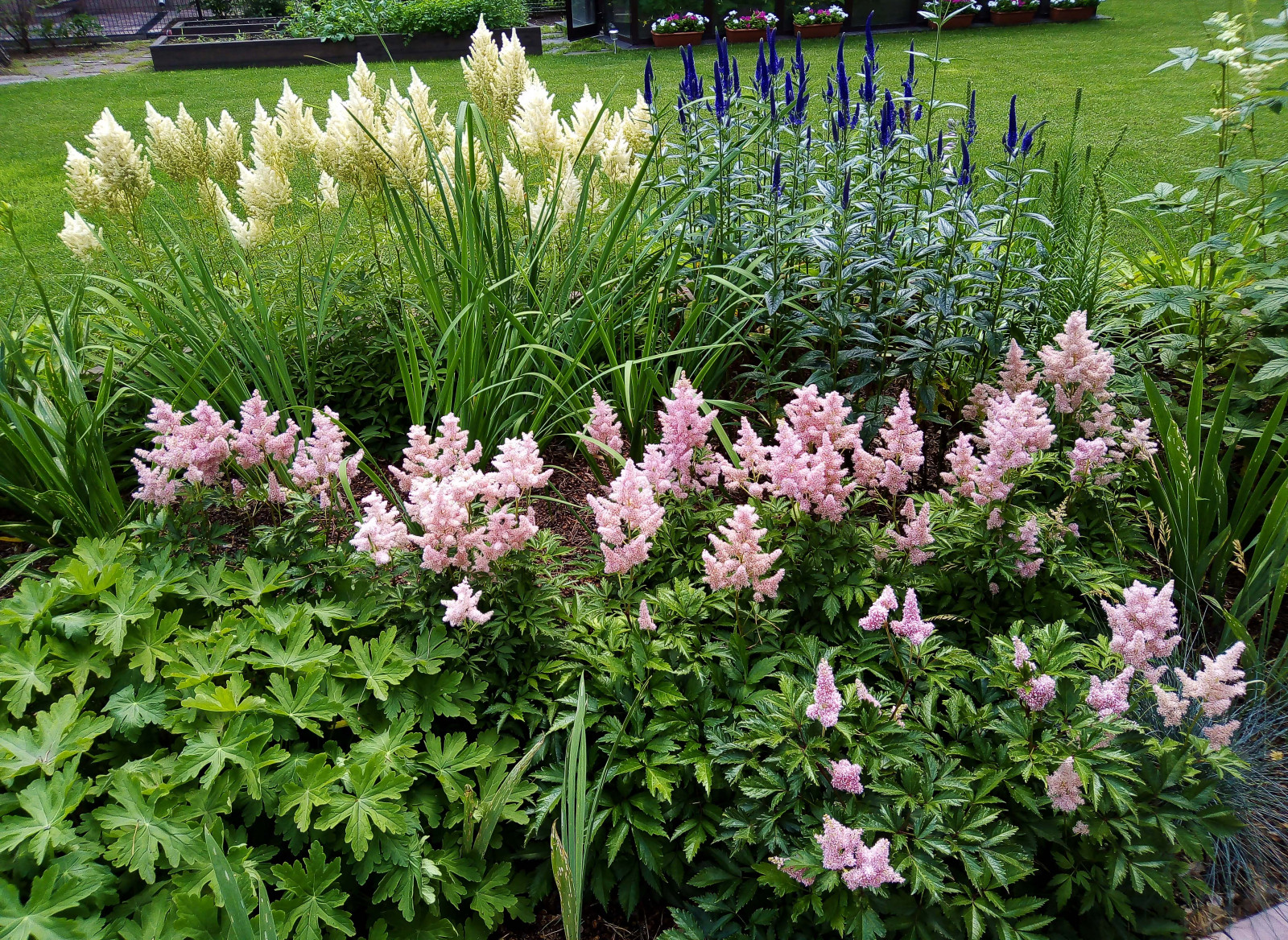 Цветники под пологом леса