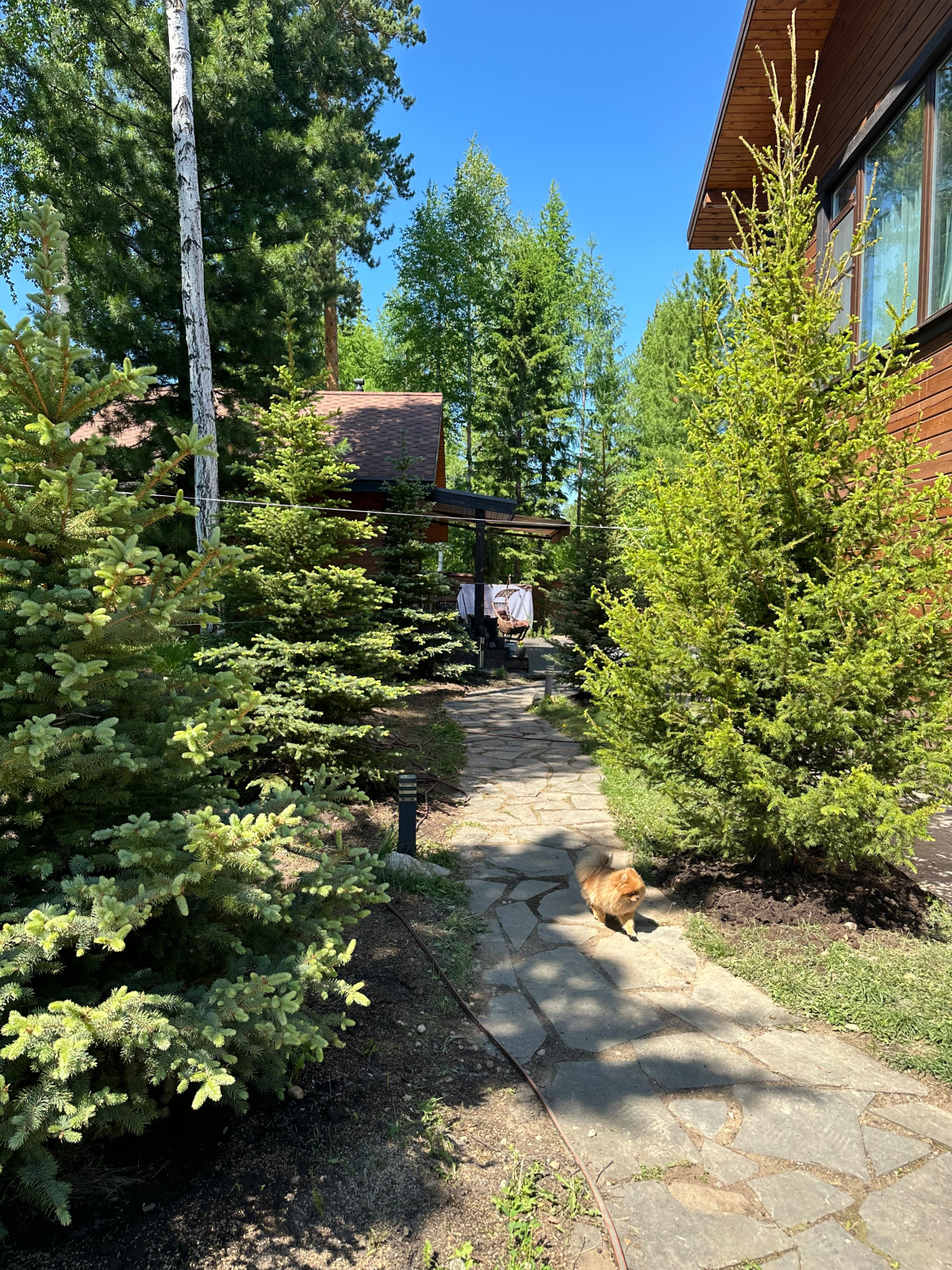 Проекты и благоустройство объектов