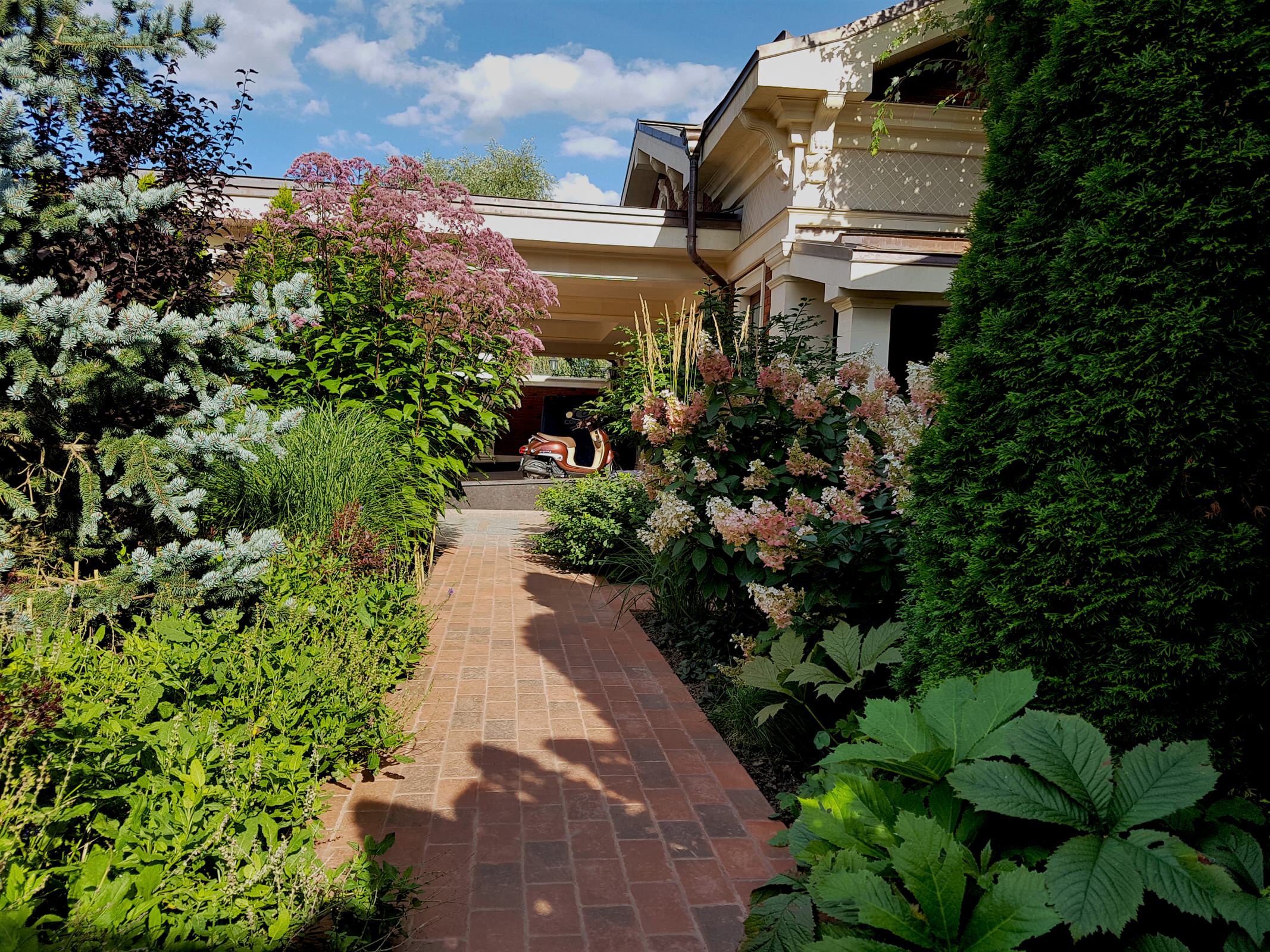 Сад с аурой