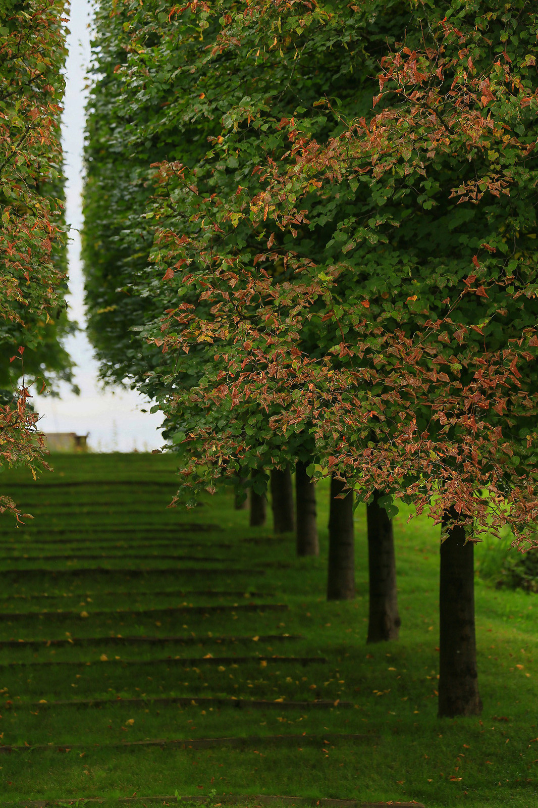 Усадьба Ореховно, Псковская область