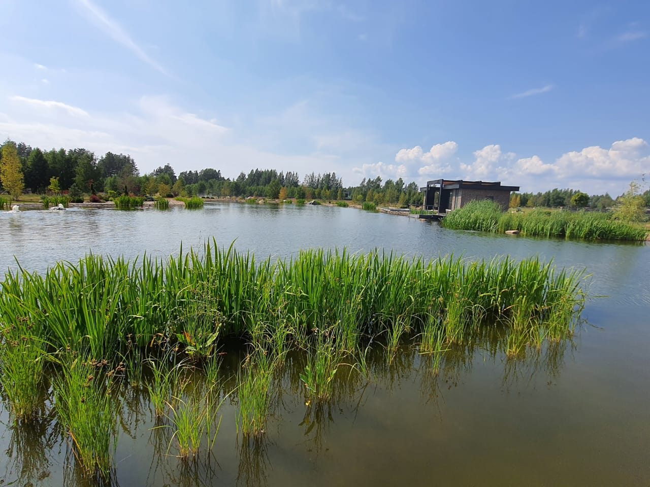 Декоративный водоём в п. Репино (Лен. обл.)