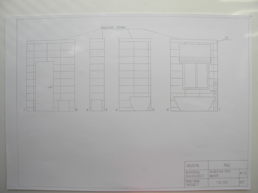 Дипломный проект МШД