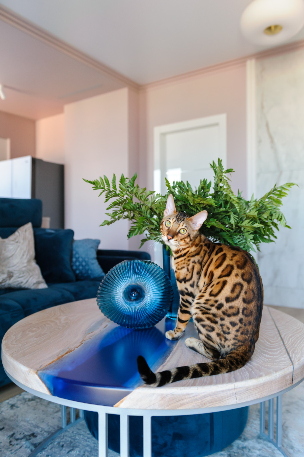 Элегантный Шик