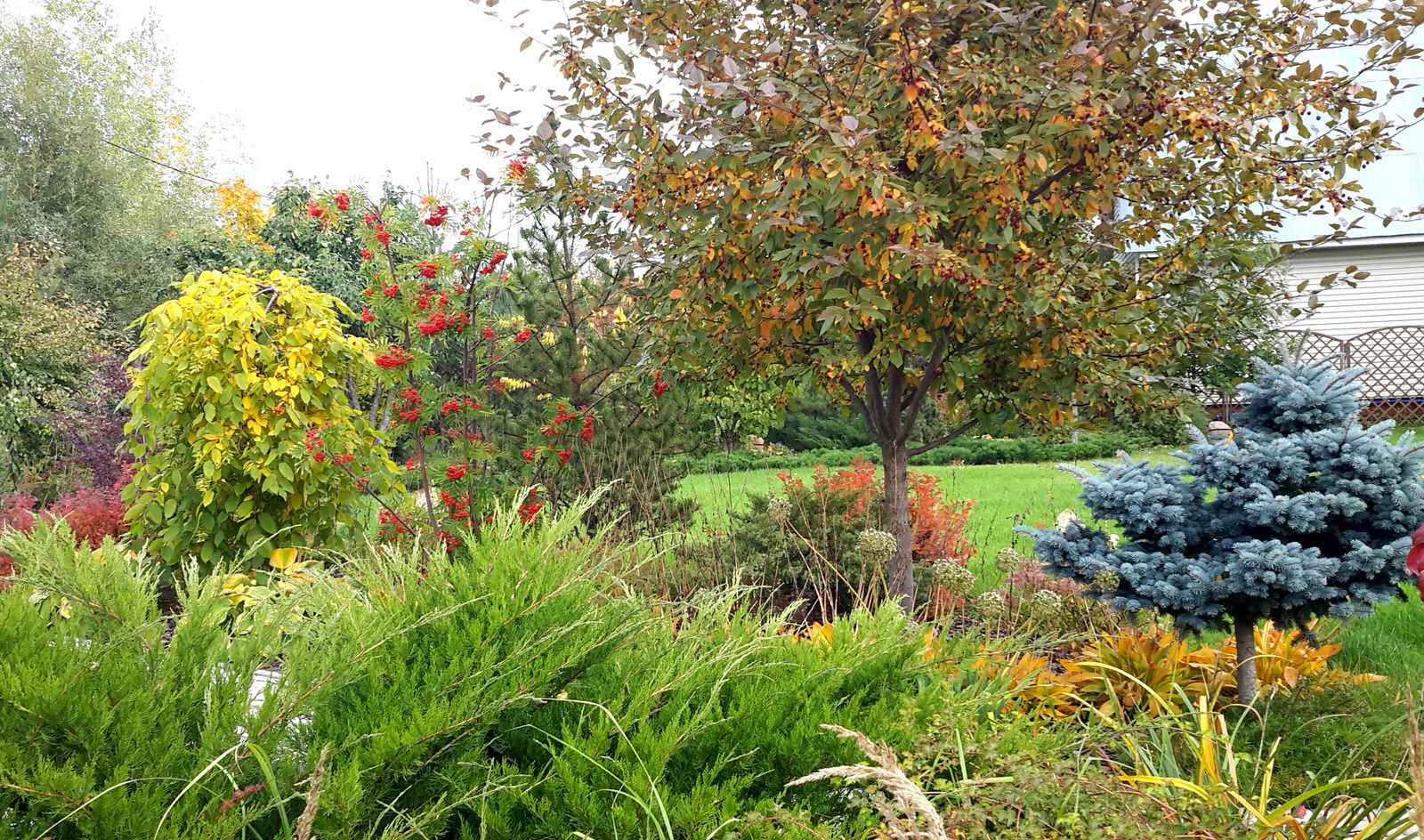 Сад на краю деревни.