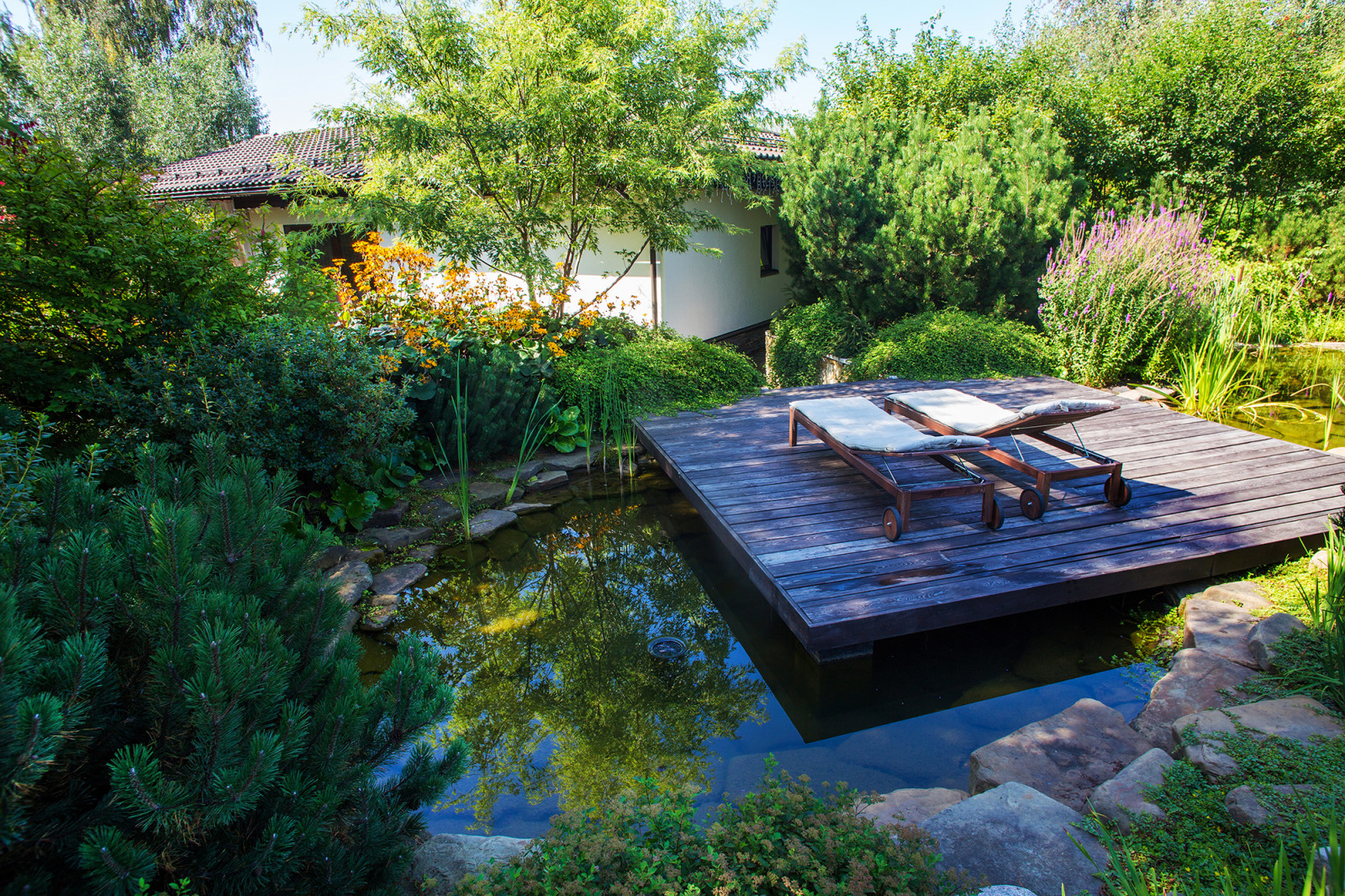 Garden of Elena Astashkina in Moscow Region