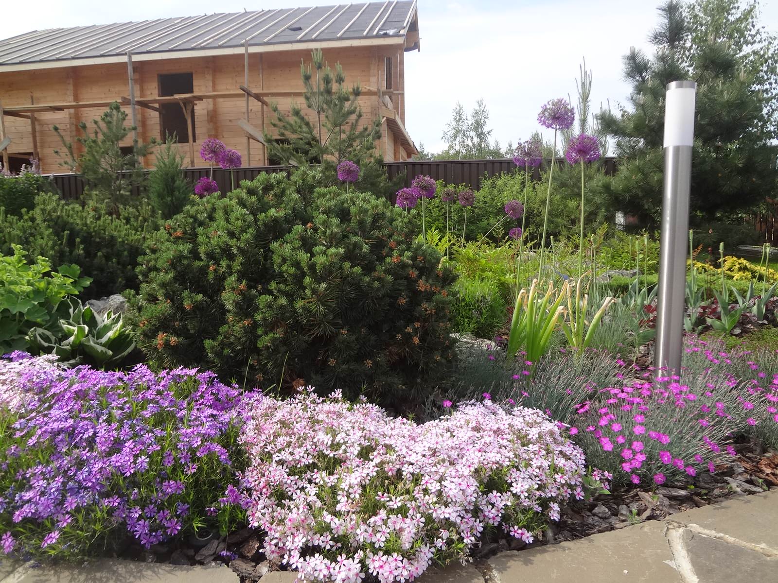 Сосновый бор