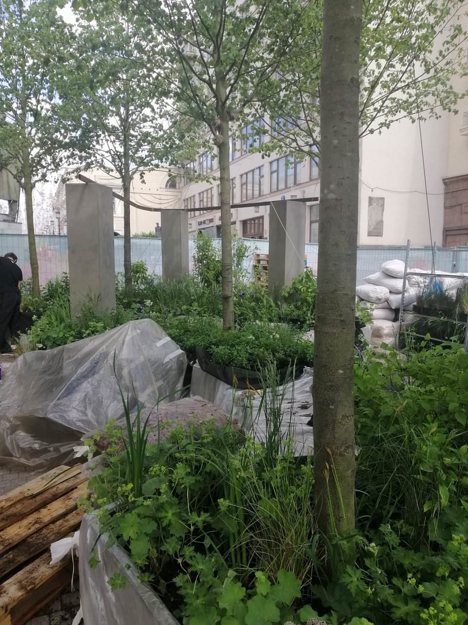 Обложка проекта: Выставочный сад