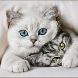 Екатерина Иванилова