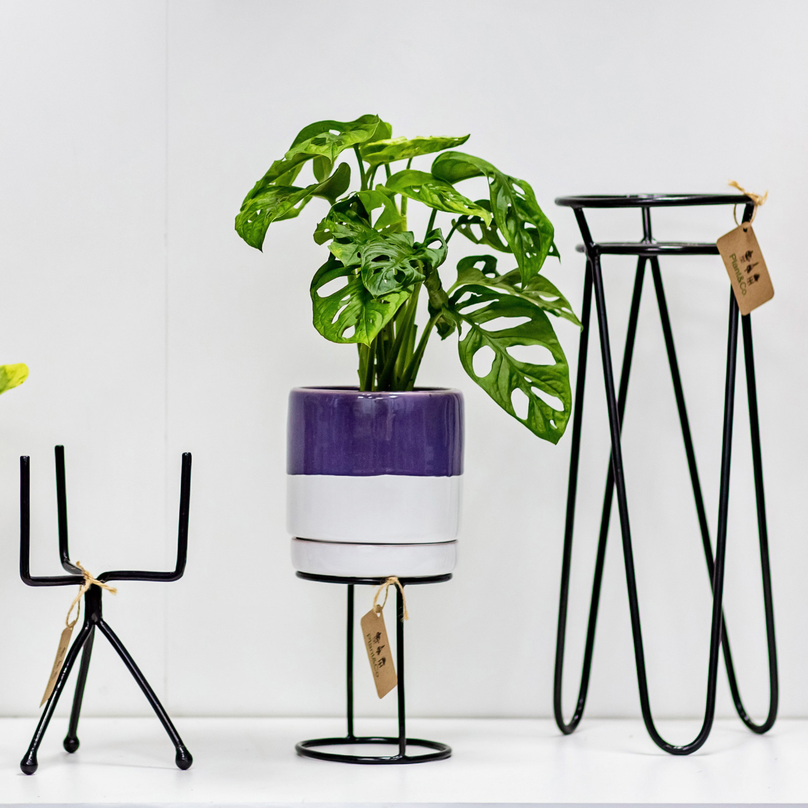 Обложка проекта: Металлические подставки Plant&Co