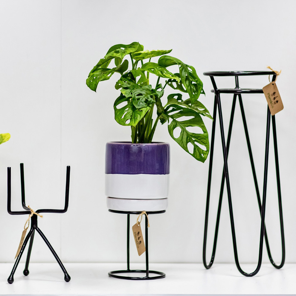 Обложка проекта: Металлические подставки Plant&Co