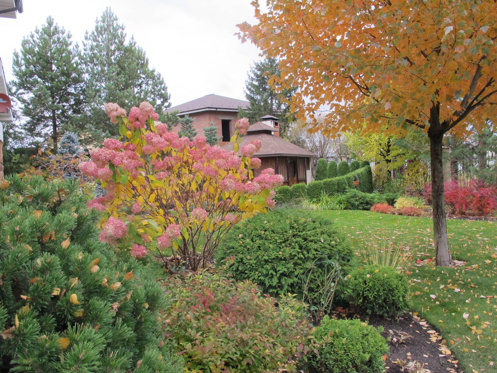 Сад Шехерезады в поселке Старбеево