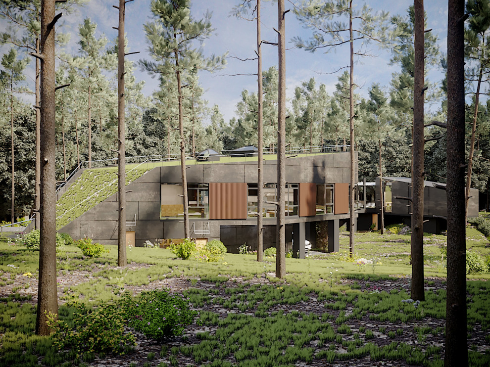 Обложка проекта: Проект частного дома в сосновом бору