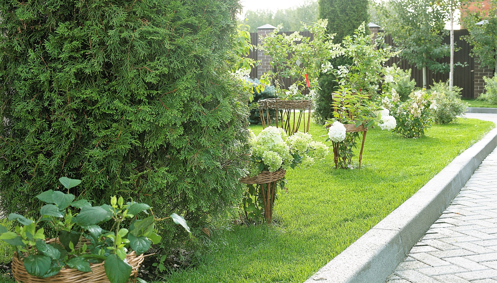 Вавиловец 1