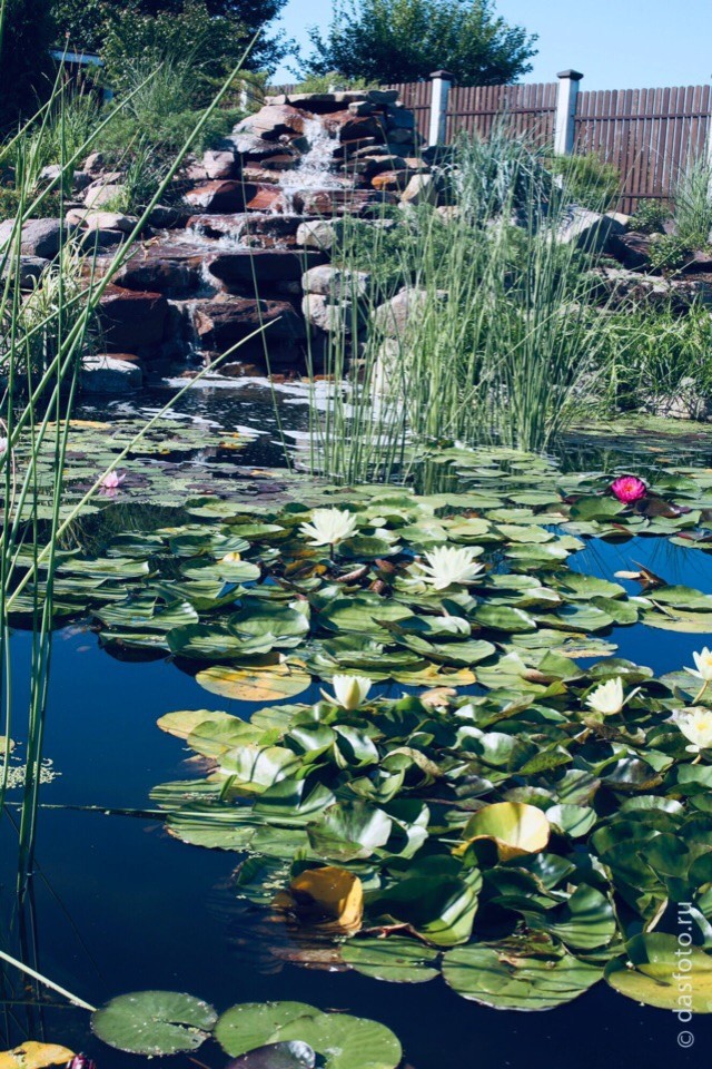 "реконструкция водоема"
