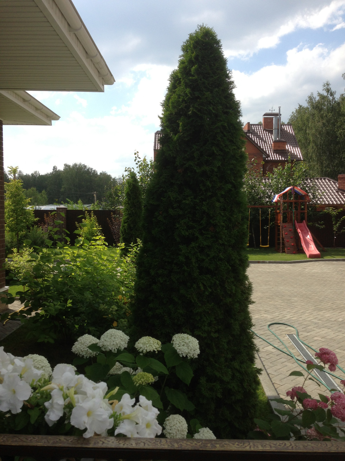 Вавиловец 1