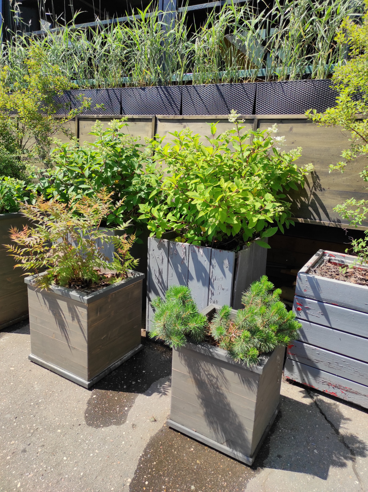 Обложка проекта: Бар  НеВинный