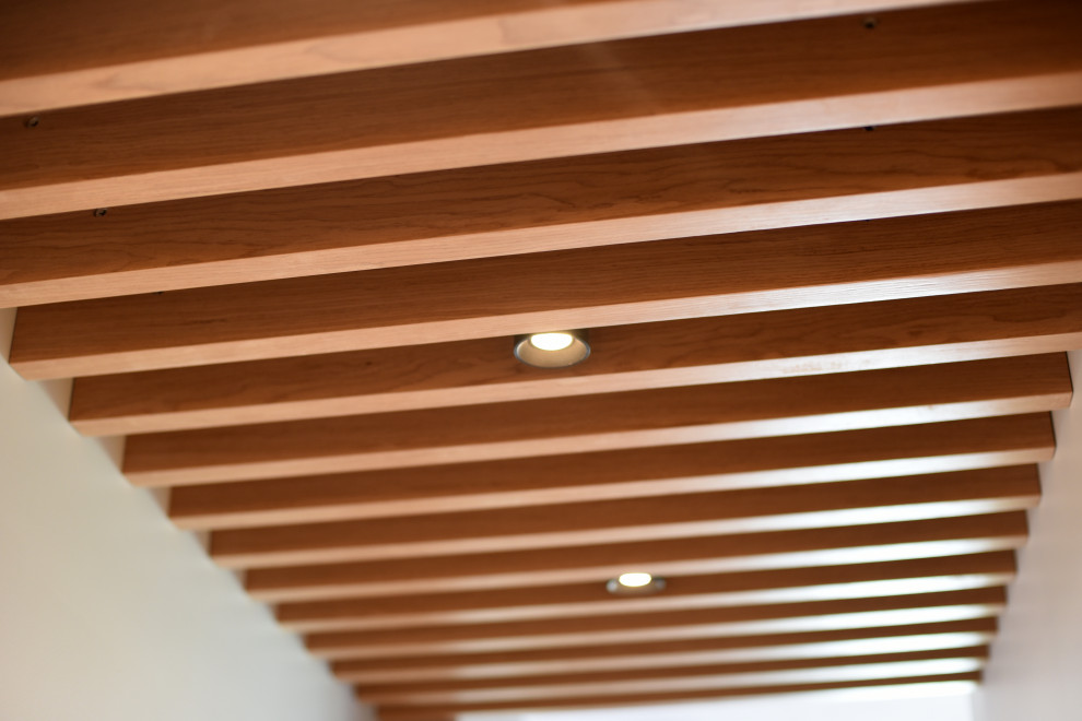 Декоративные элементы, потолочное крепление.