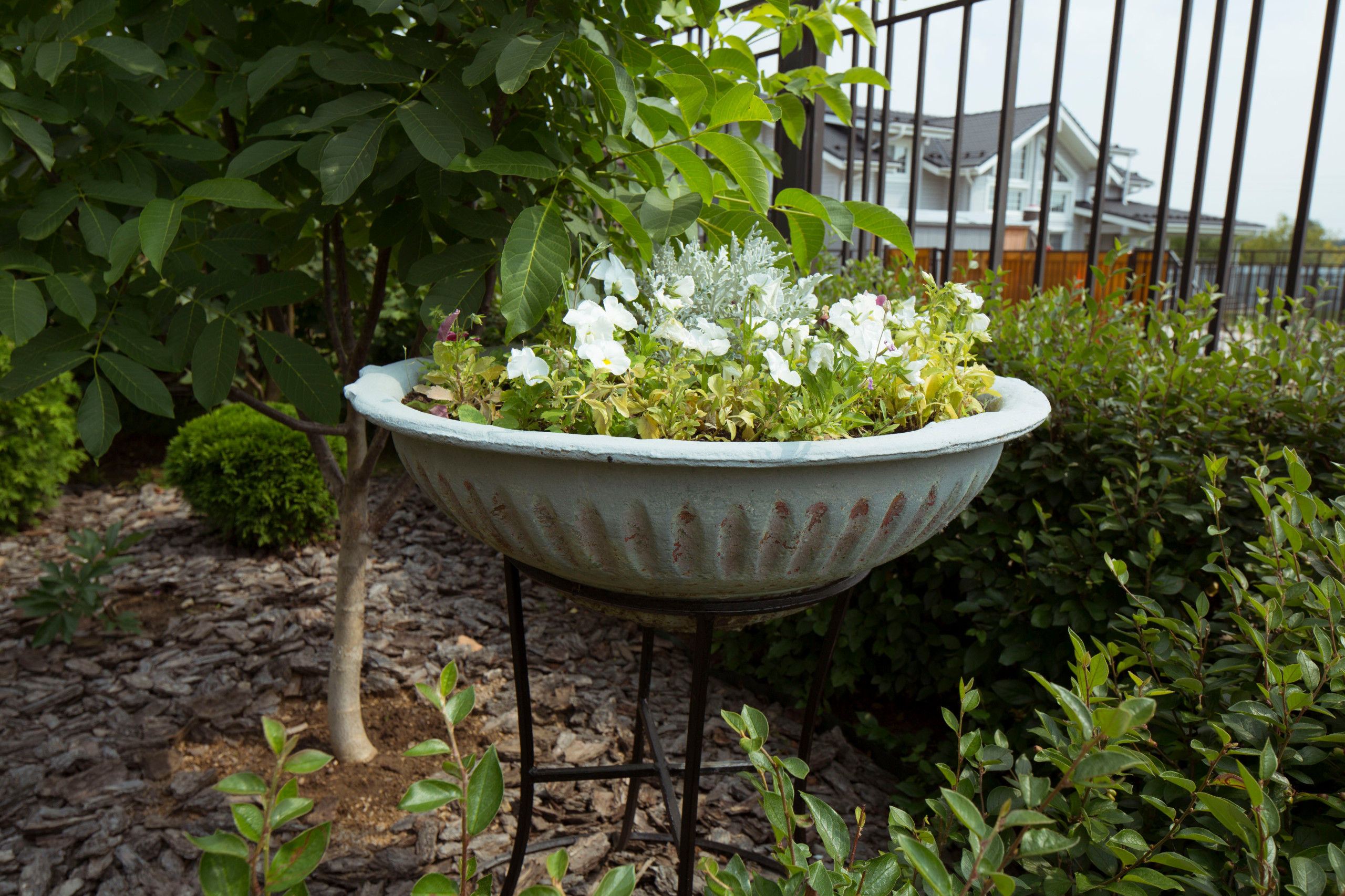 В гостях: Участок с фамильными дубами и баней в срубе