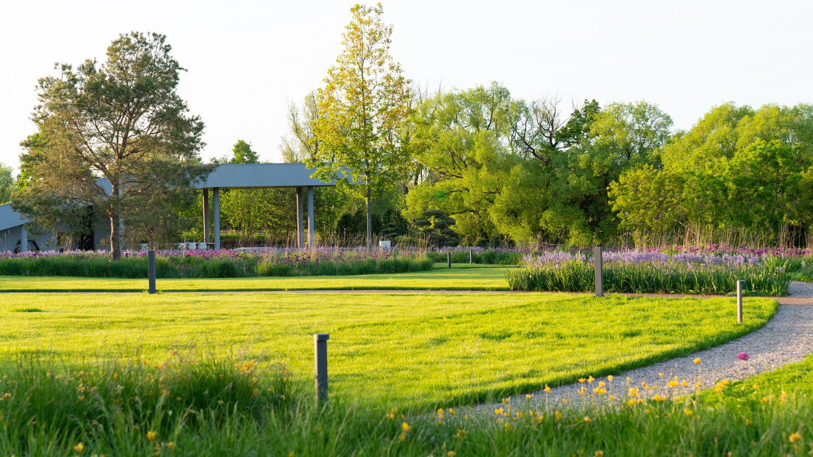 Природный сад. Жуковка XXI век. 2017-2018 гг.