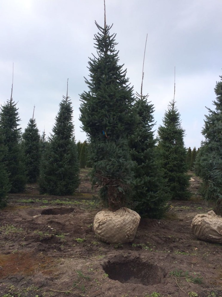 Крупномеры. Летом и зимой