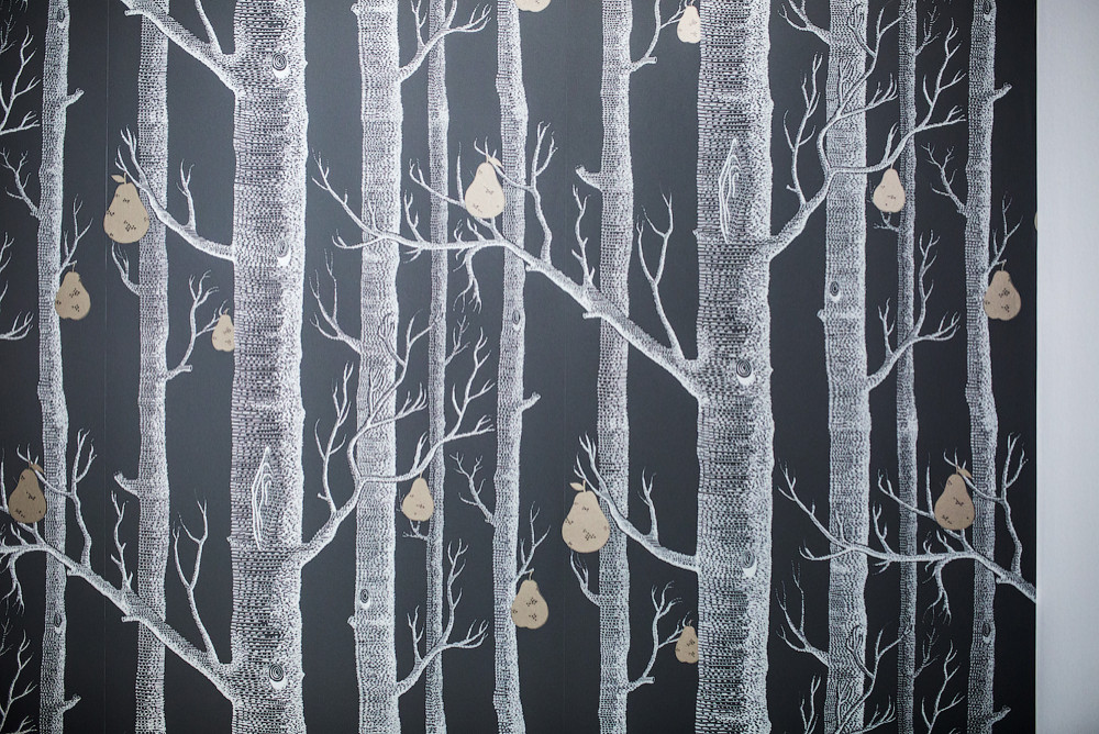 Проект квартиры на Большой Конюшенной