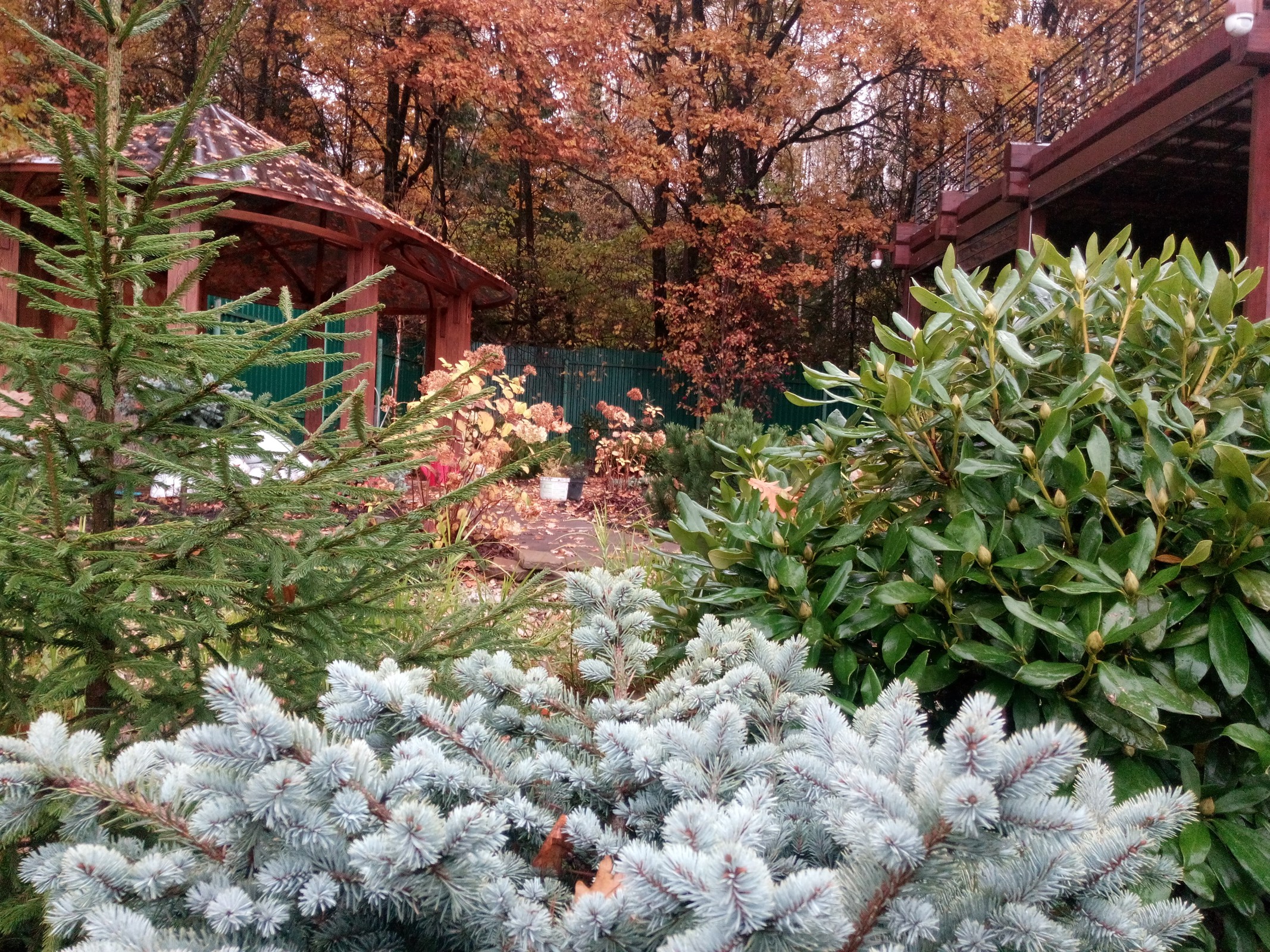Обложка проекта: Дизайн участка загородного дома в Подмосковье.