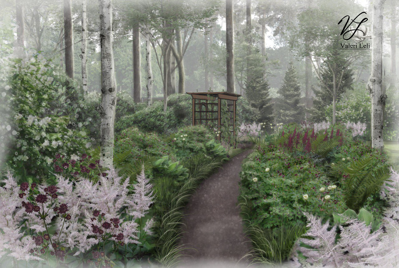 Лес под луной