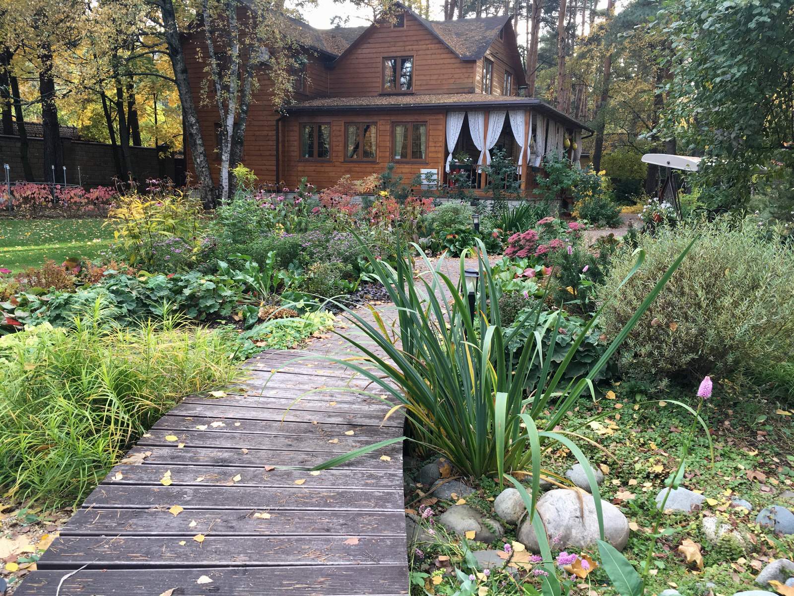 Белкин сад. Осень 2019