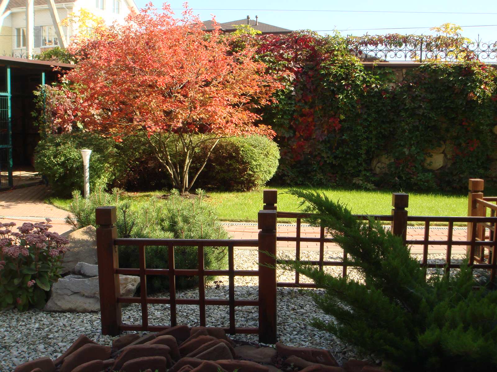 Сад "Динамика движения"