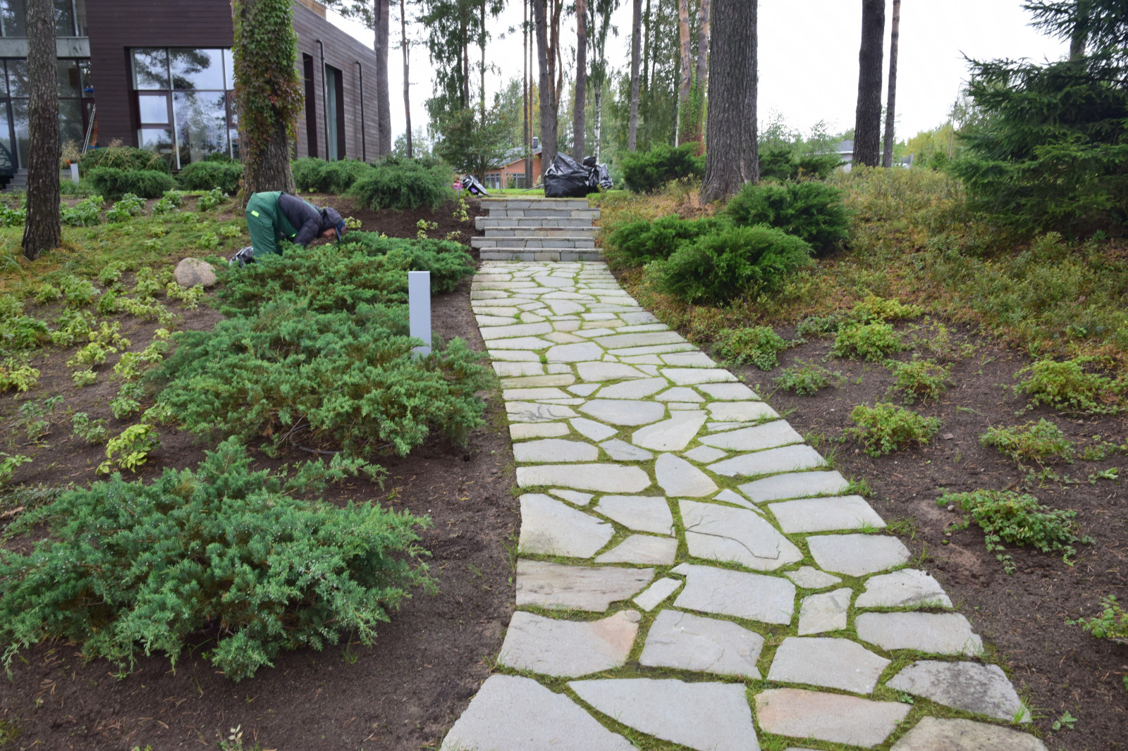 Сестроречье