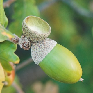 Дмитрий Марков