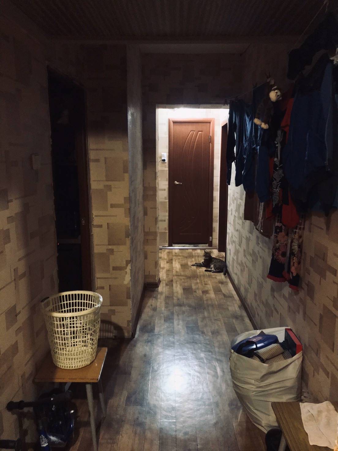 квартира , общие зоны.