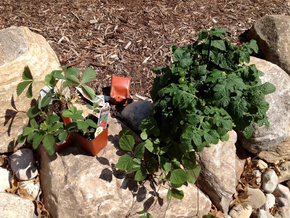 Для новичков: Когда сеять семена на рассаду — гид по месяцам