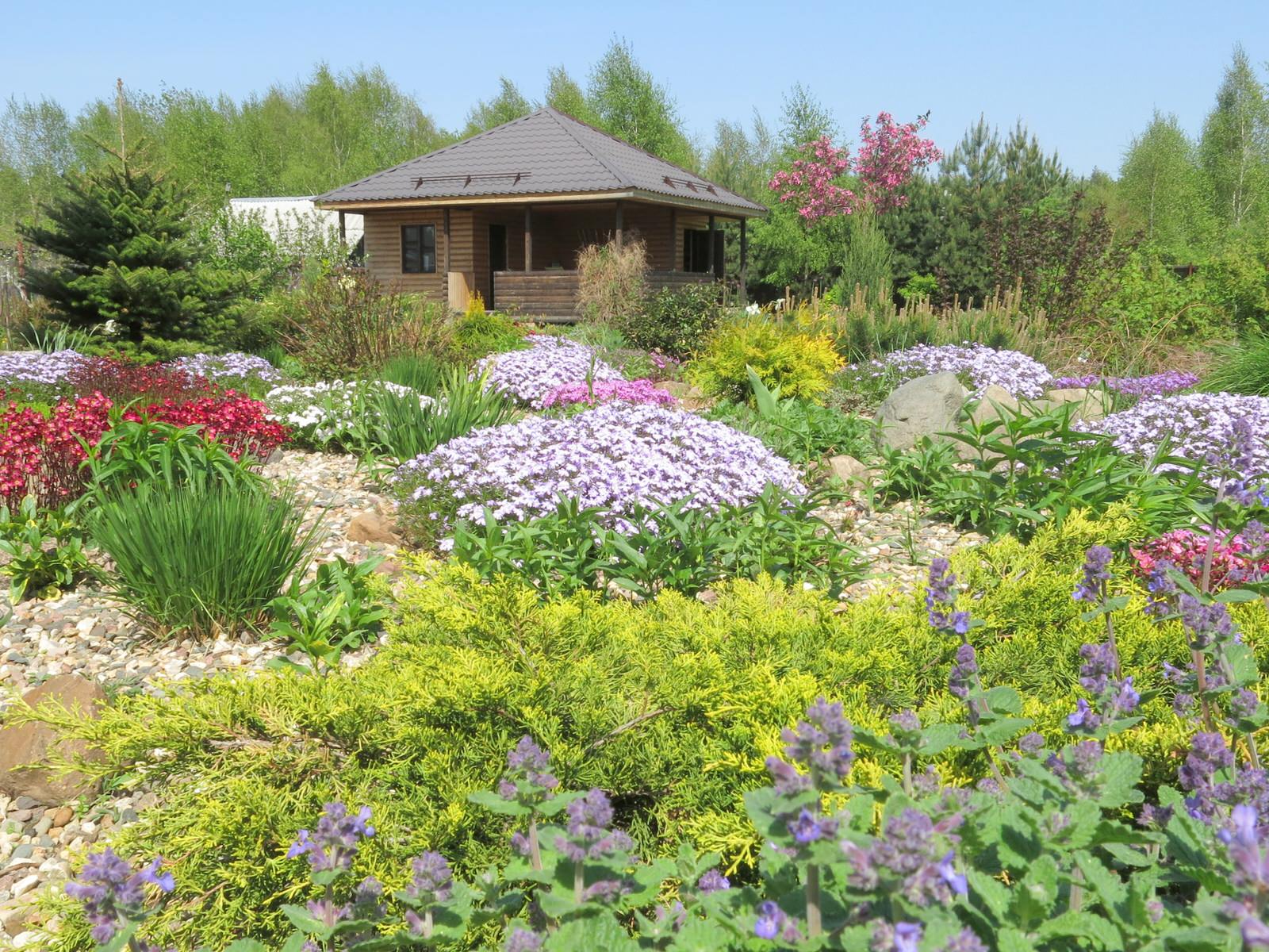 ТЕПЛЫШКО МОЕ. ВЕСНА.