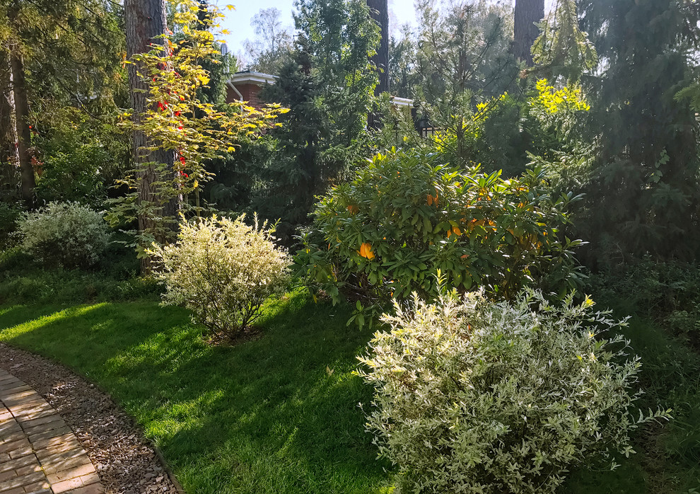 Сад без клумб: Оставляем только деревья и кустарники