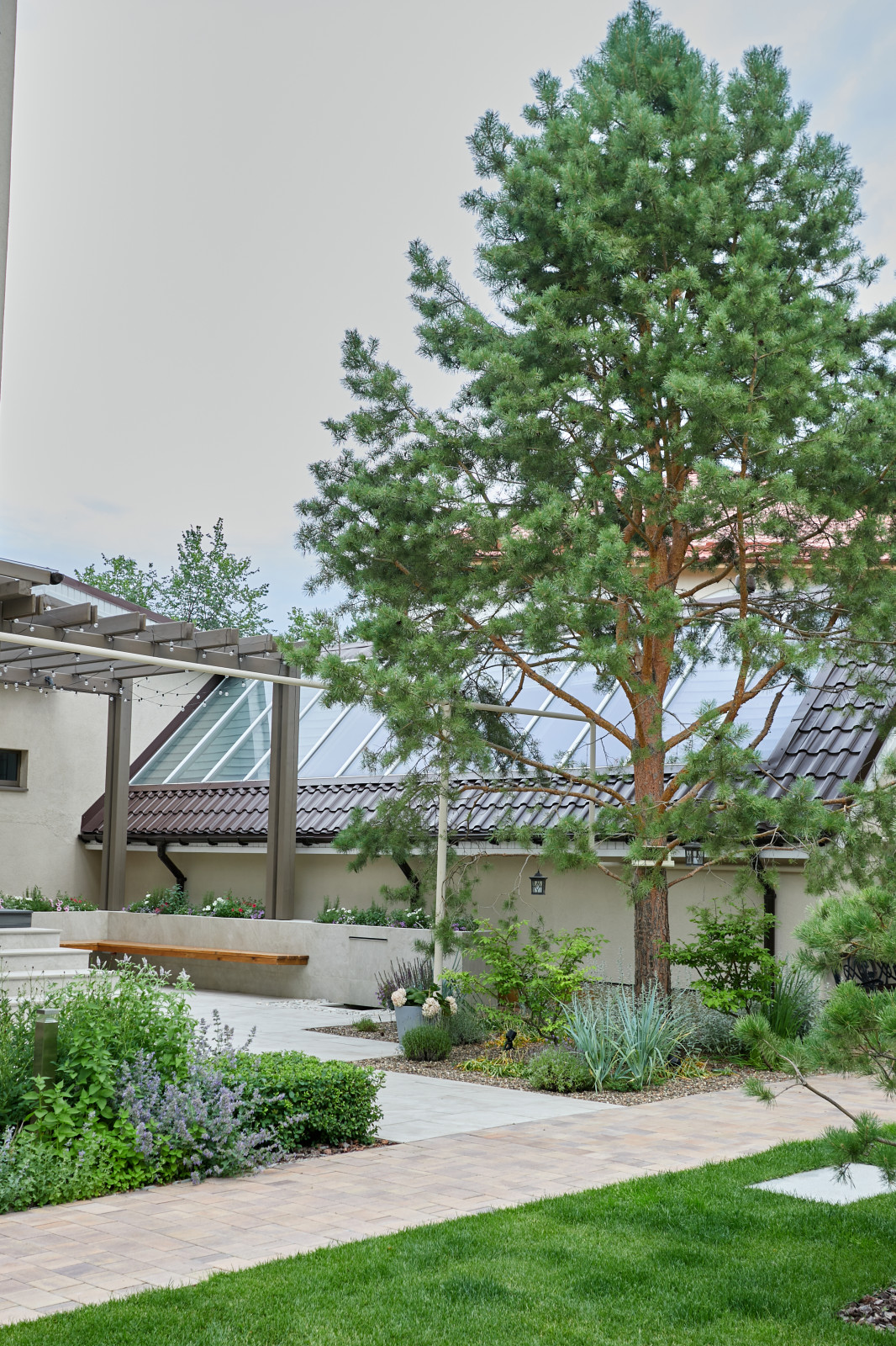 Проект "Современный сад"