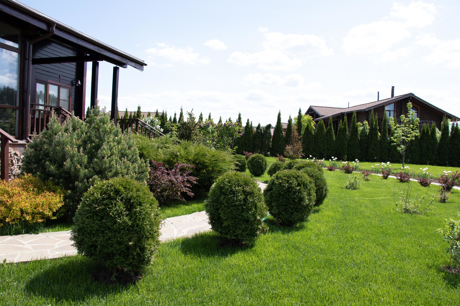 Сосновые берега