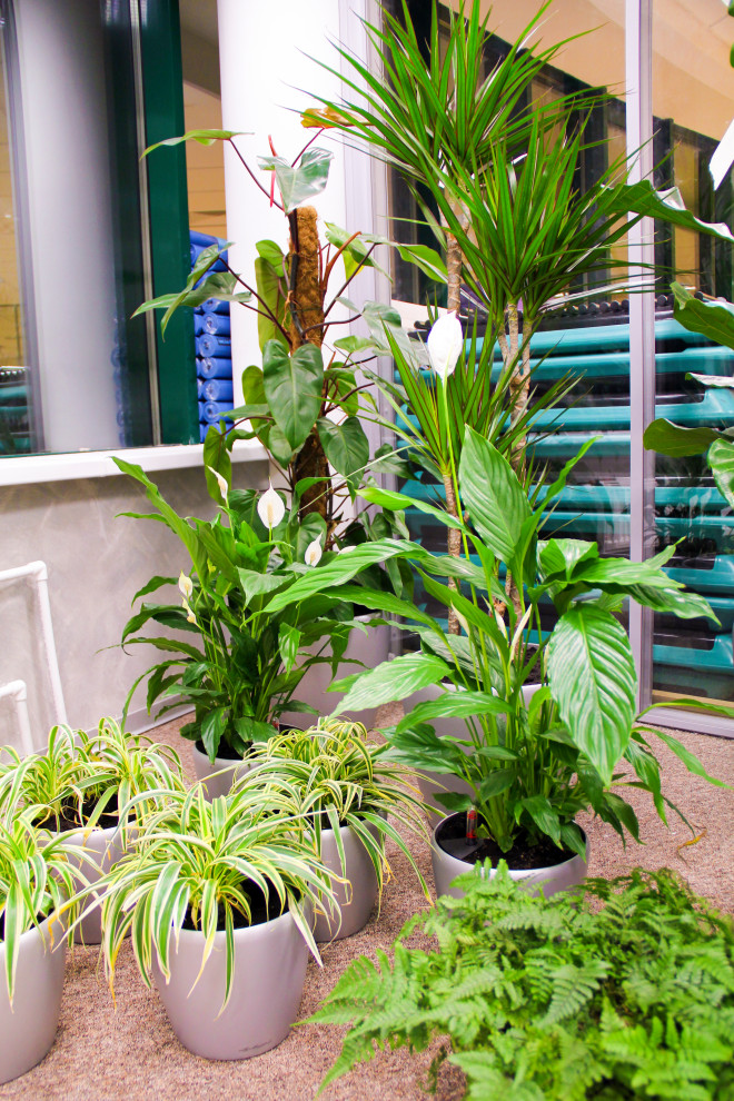 Калуга, Сбербанк, 2010 г.