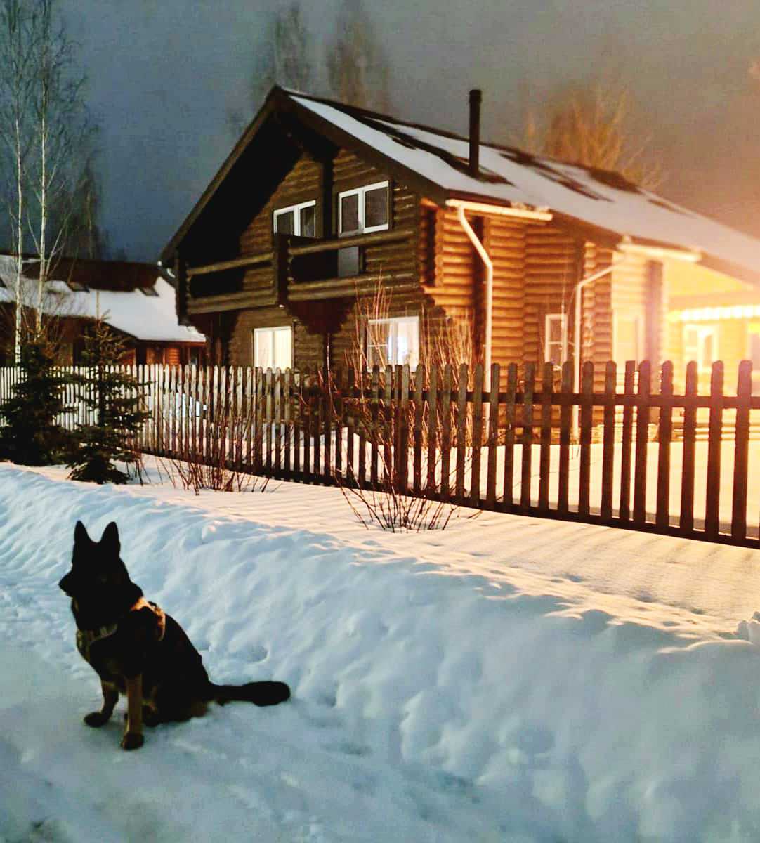 Обложка проекта: Расконсервация дачи