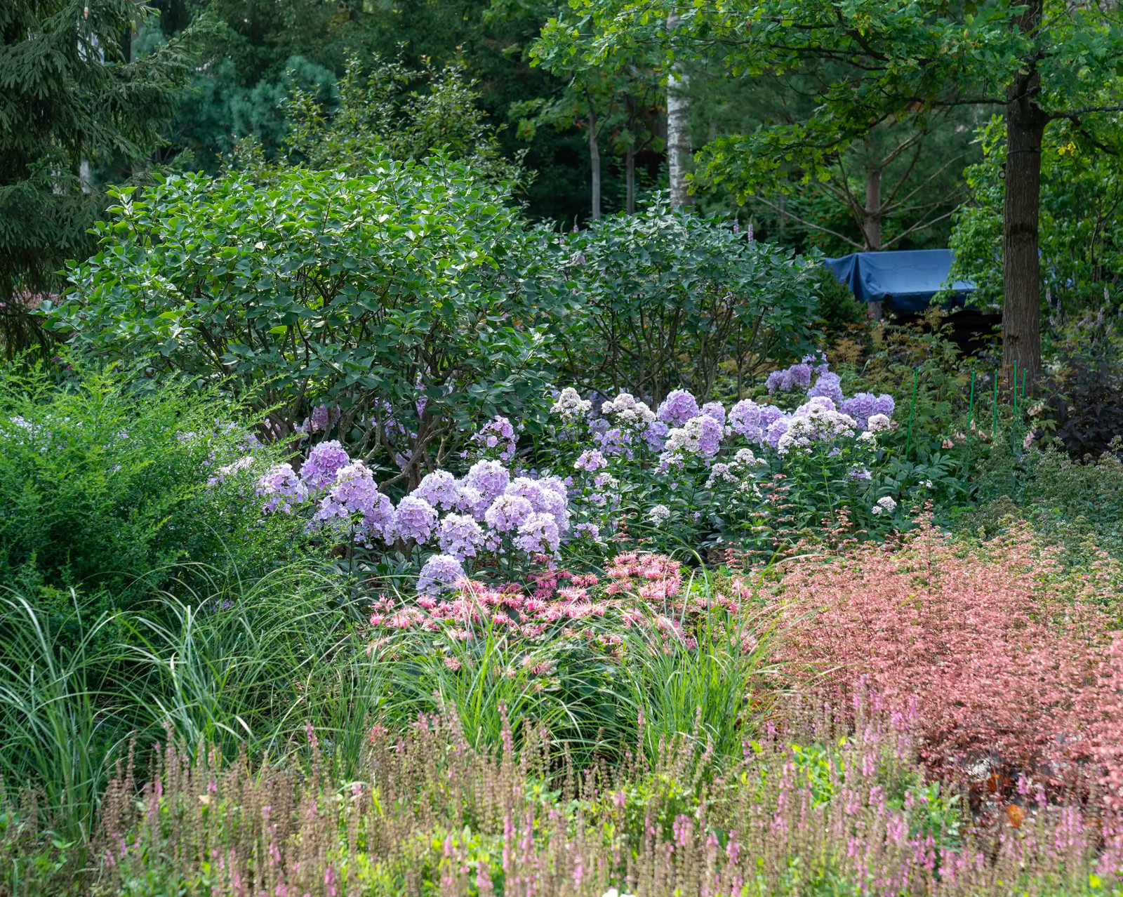 Круговорот цвета. Дубровка 2021