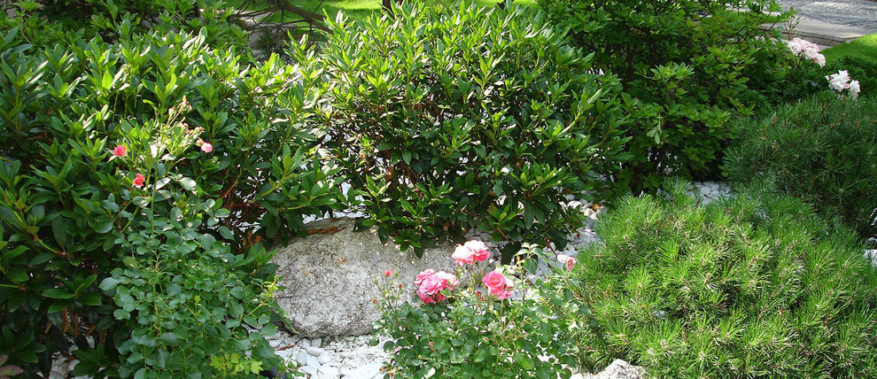 Сад с водоемом в КП " Сосновый Бор"