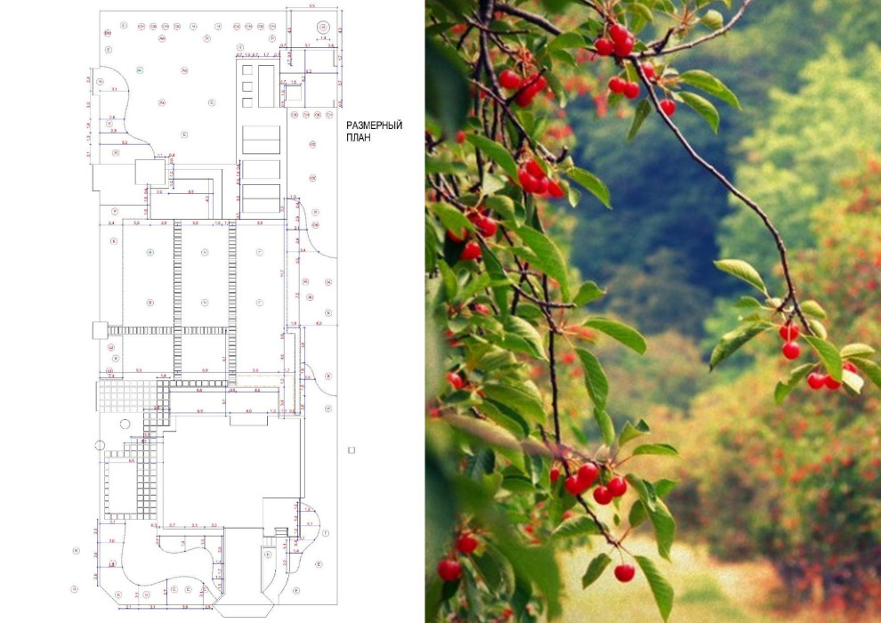 Размерный план