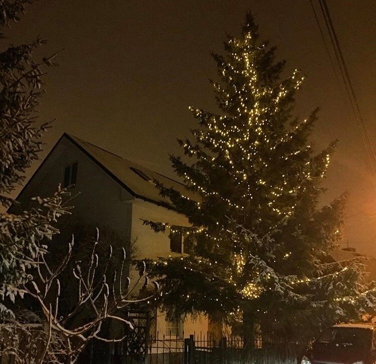 В гостях: Дом дизайнера и 4 сотки сада в Калининграде