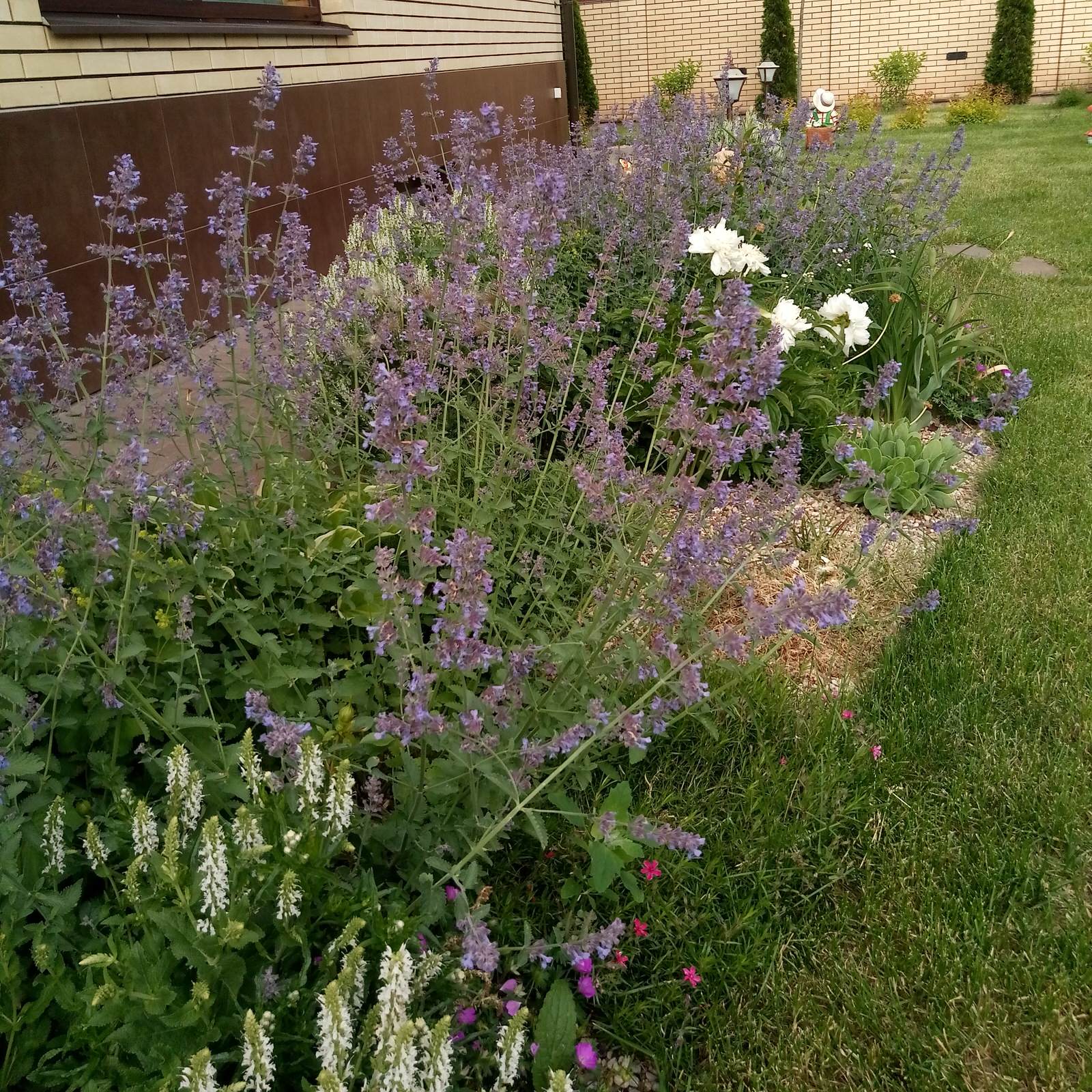 Зелёное удовольствие