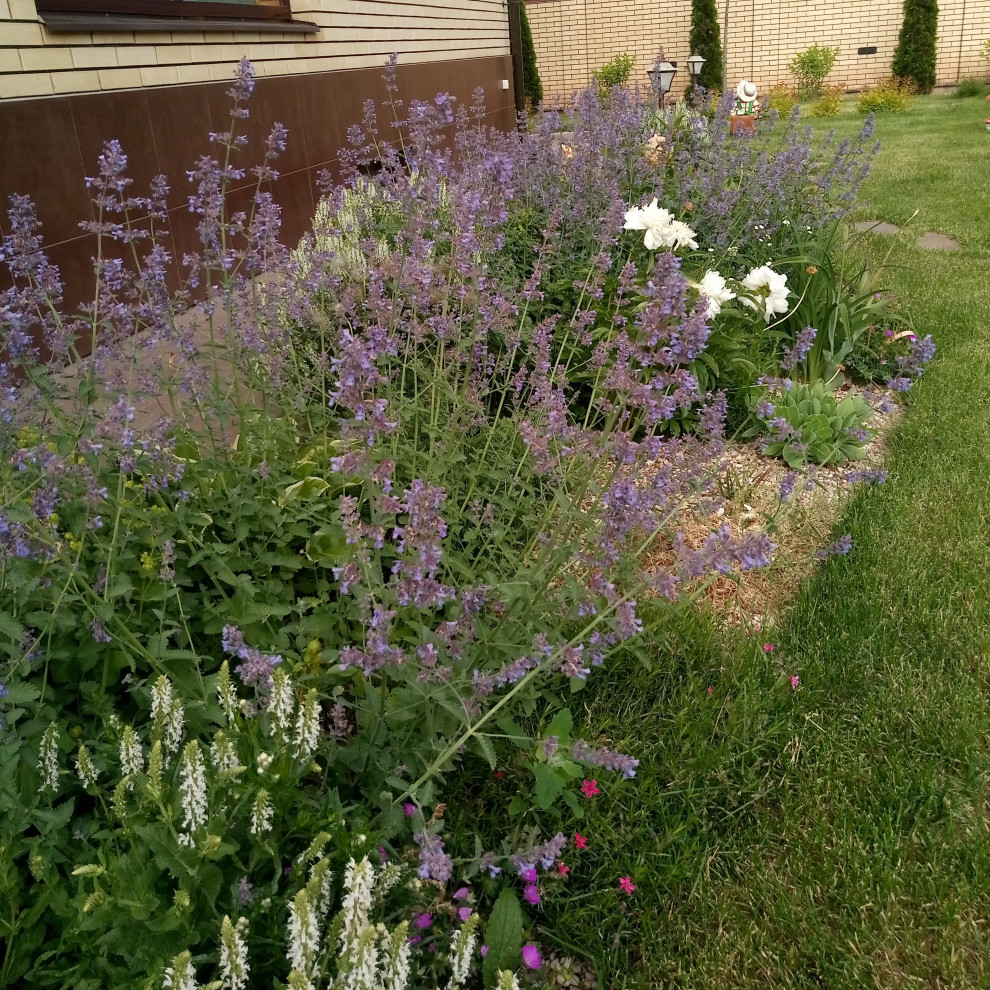 Зелёное удовольствие