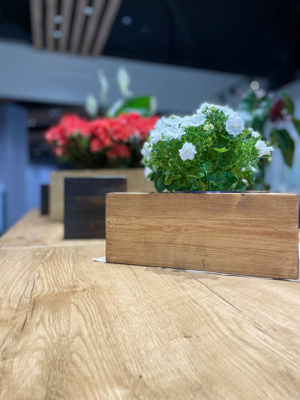 Обложка проекта: Деревянные ящики