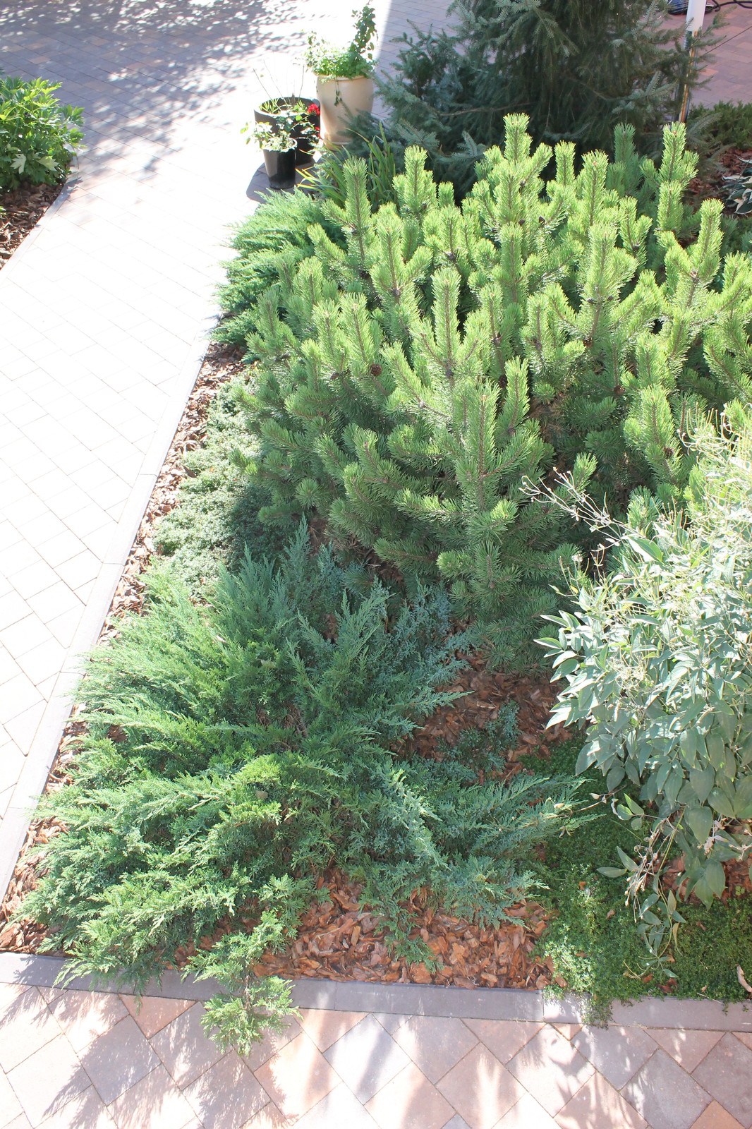 Хутор Брехово