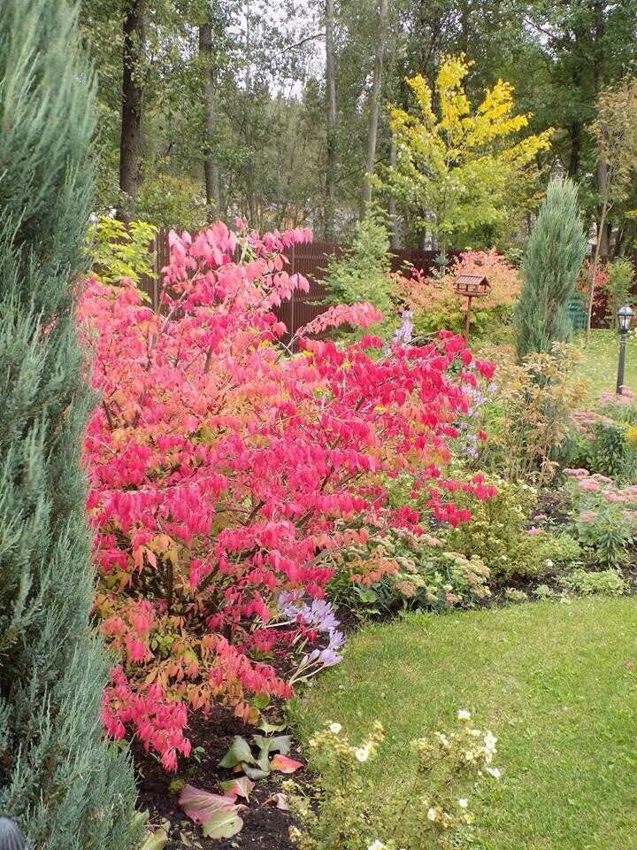 Озеленение, ландшафтный дизайн